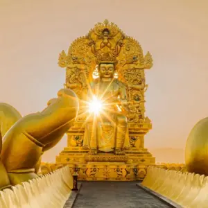 Vé Người Cao Tuổi_Gói Trải Nghiệm Trọn Ngày An Yên